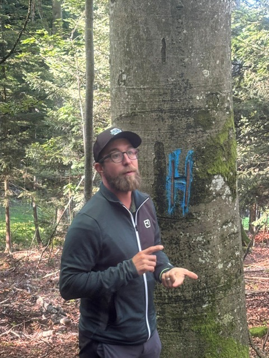 Les Amis de la Foret Accueil Souvenirs de nos sorties 4