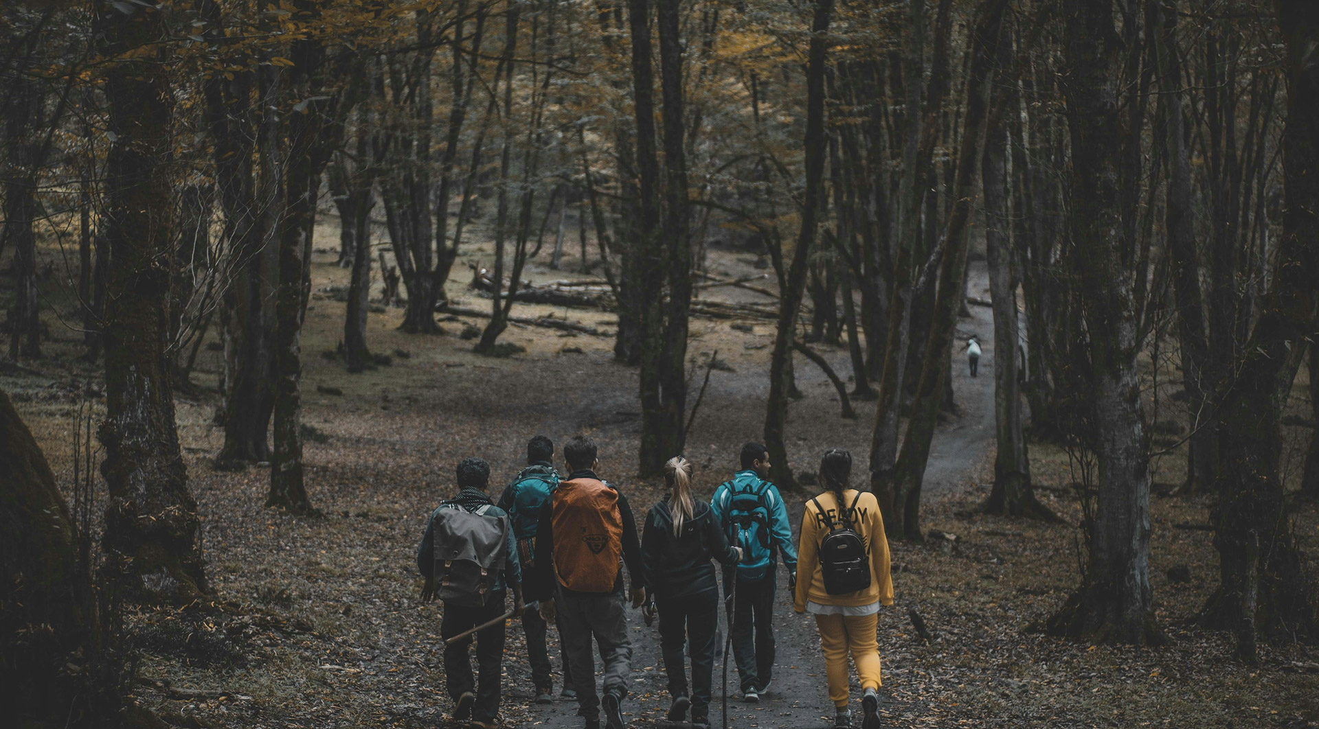 Les Amis de la Foret Sortie annuelle 1