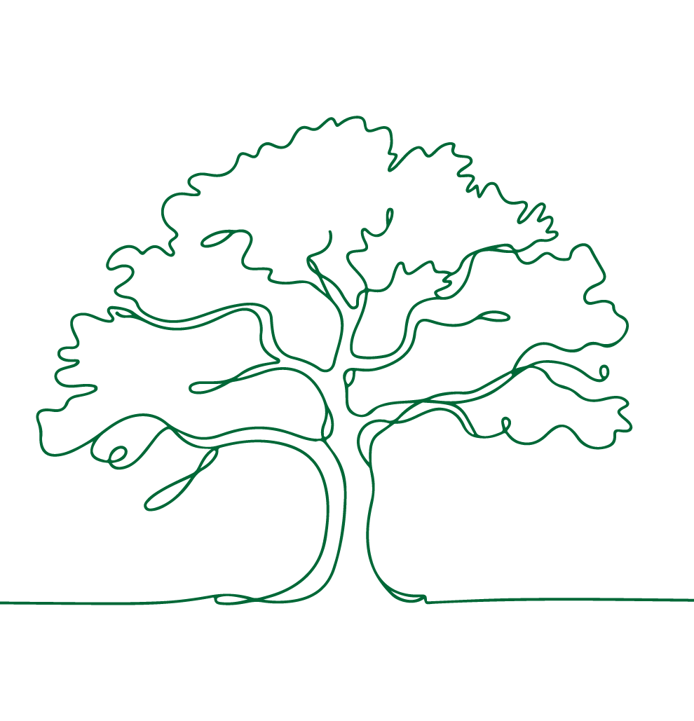 Les Amis de la Foret Sortie annuelle illustration arbre